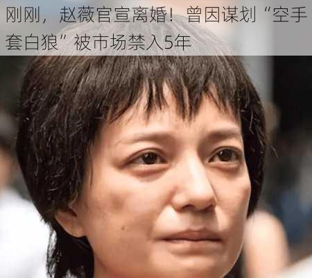 刚刚，赵薇官宣离婚！曾因谋划“空手套白狼”被市场禁入5年