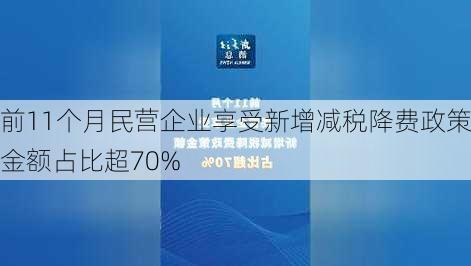 前11个月民营企业享受新增减税降费政策金额占比超70%